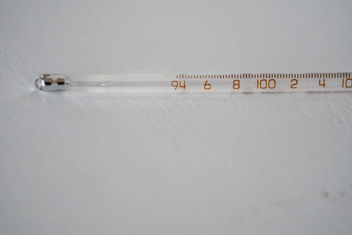 Thermomètre à sonde planté dans un rôti de veau au four pour vérifier la cuisson